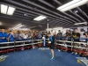 Canelo Open Workout
